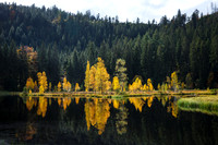 Nationalpark Schwarzwald - Herbst