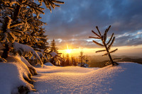 Nationalpark Schwarzwald - Winter
