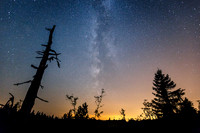 Nationalpark Schwarzwald - Sommer