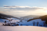 Schwarzwald - Winter